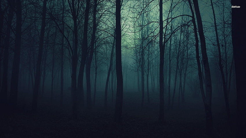 Forêt sombre et effrayante (30 + arrière-plan), forêt effrayante Fond d'écran HD
