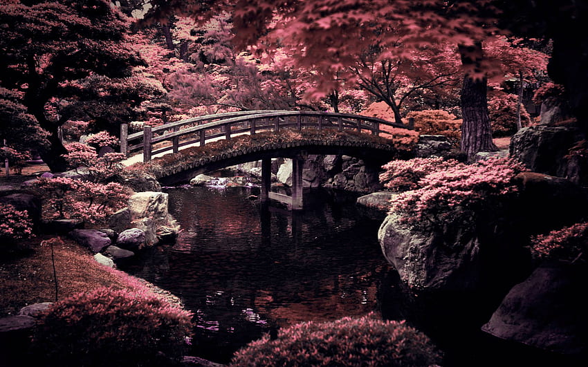 Taman Gelap Jepang, Seni Jepang Gelap Wallpaper HD