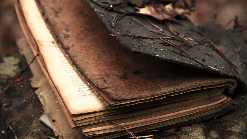 old book high resolution old book, Ancient Books HD wallpaper