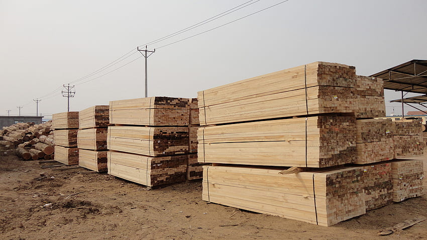 Lumber, Timber HD wallpaper