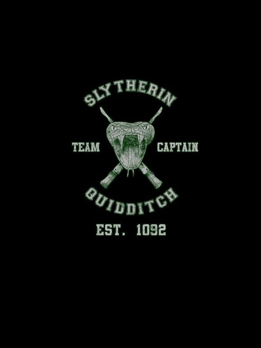 Slytherin Quidditch team Harry Potter Vector [] for your , Mobile & Tablet. Explore Slytherin . Gryffindor , Hogwarts Castle , Hogwarts Crest, Slithering HD phone wallpaper