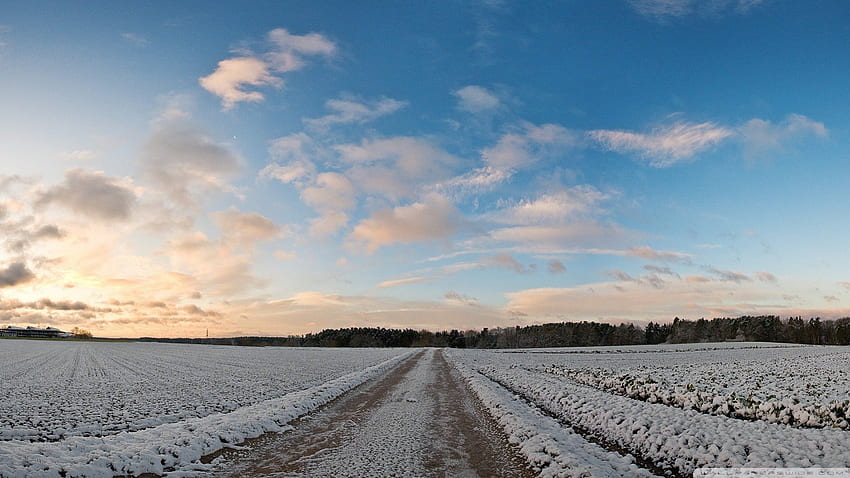 rural fields covered in snow, clouds, fields, road, snow HD wallpaper