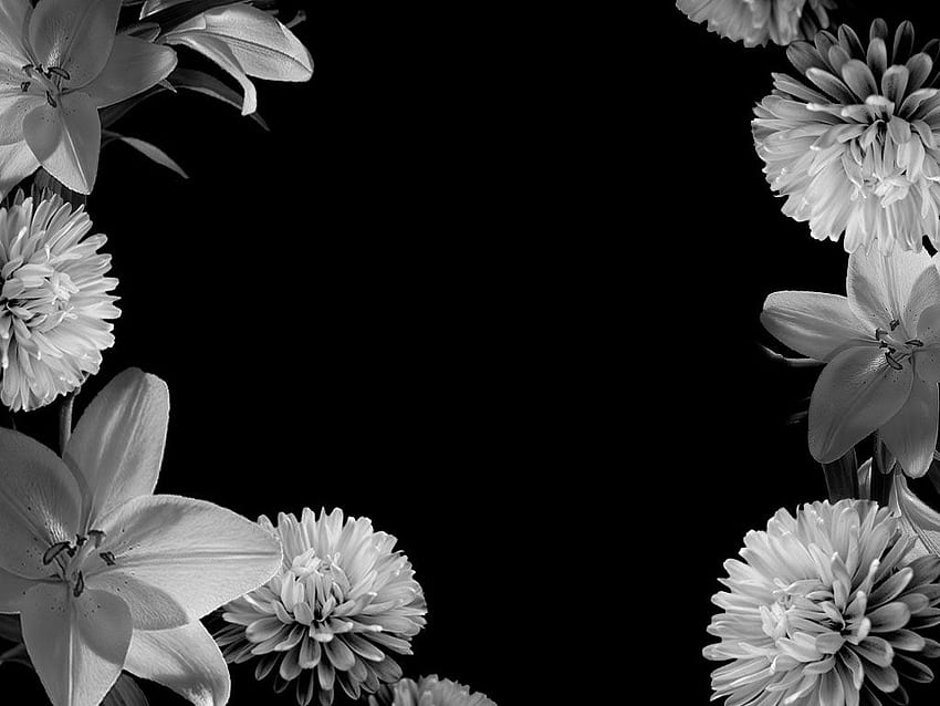 Love Adore Kiss Fond de cadre de fleur pour PowerPoint - Modèles PPT de fleurs, cadre floral Fond d'écran HD
