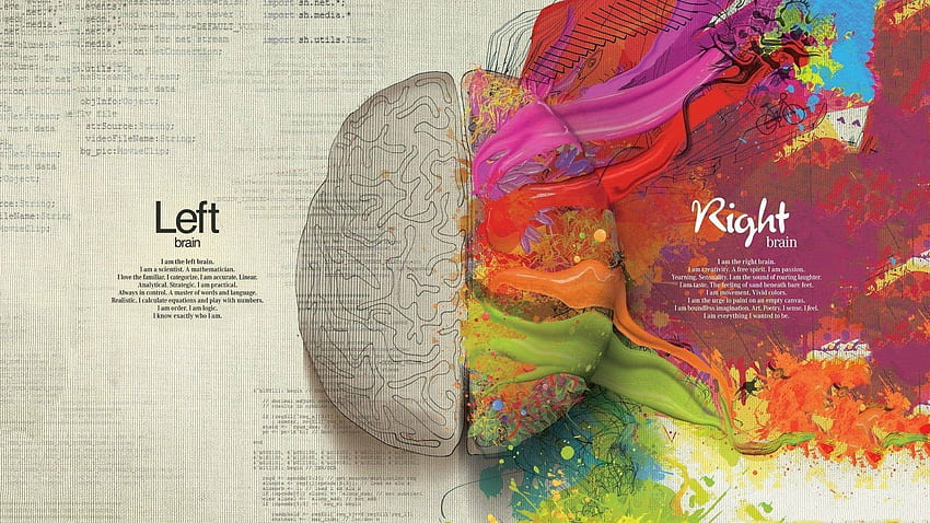 色とりどりの脳のイラスト、人間の脳の絵 高画質の壁紙