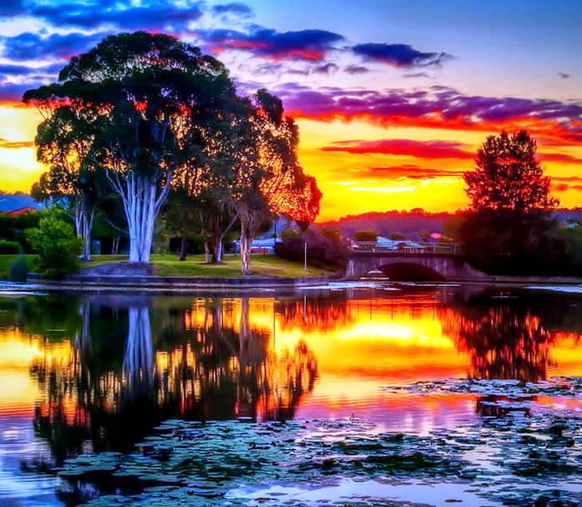 Sunset over the lake, fishes, river, sunset reflection, colorful, plants, golden sky, forces of nature, spring, sunrise, amazing sunset, trees, mountains, sunset, stunning, sunshine, shadows and reflection, colors of nature, dark, lake, sunrays, clouds, nature, sky, lovely HD wallpaper