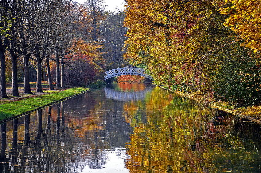 Alam, Sungai, Pohon, Musim Gugur, Refleksi, Taman, Jembatan Wallpaper HD