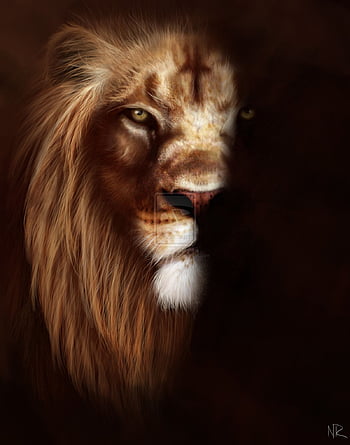 ܓ65 Lion face - Android, iPhone, Background / (, ) () (2021) HD phone  wallpaper | Pxfuel