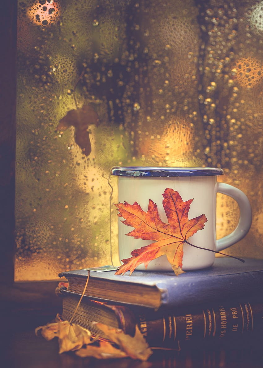 Книги, чай и капки дъжд. Есен, есенен уют, есенно вдъхновение HD тапет за телефон