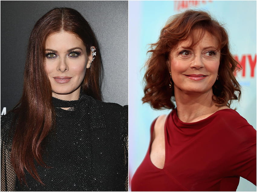 The strange thing is that both Susan Sarandon and Debra Messing are right about Trump. The Independent HD wallpaper
