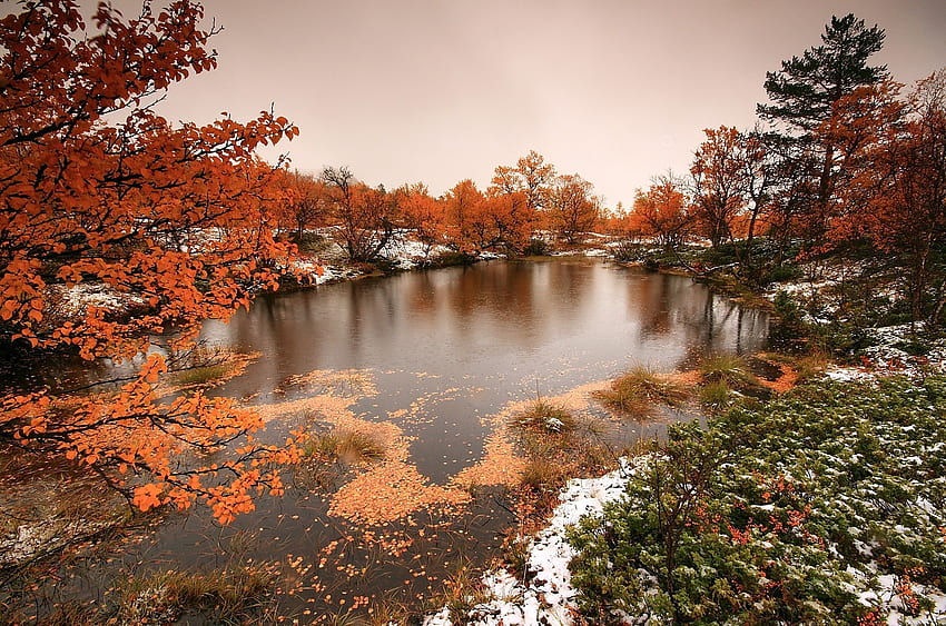 zum Thema: Norwegen, Hintergrund, Norwegen Herbst HD-Hintergrundbild