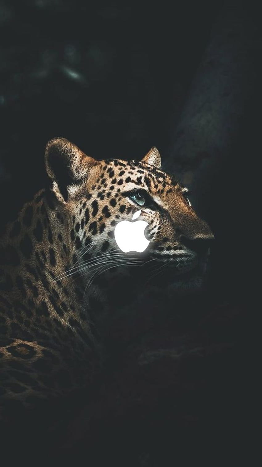 Jaguar iphone HD wallpapers | Pxfuel