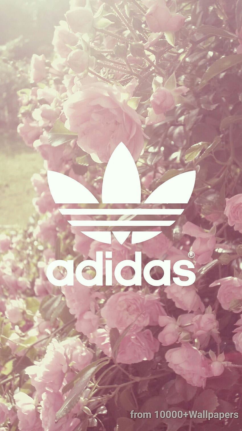 Nike Floral, Adidas Floral HD phone wallpaper