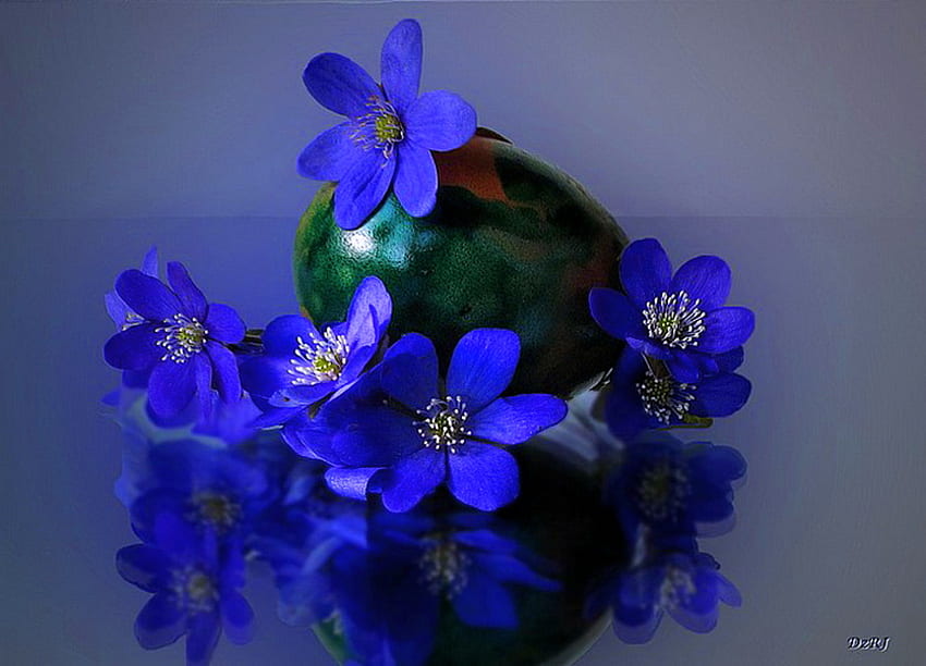Biru untukmu, biru, vas, bunga, violet Wallpaper HD