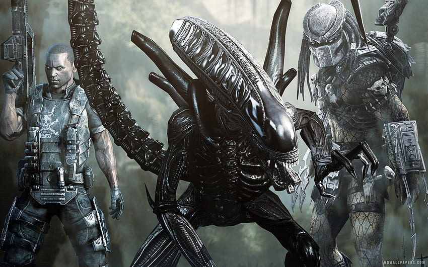 Wallpaper alien, Predator, Predator for mobile and desktop