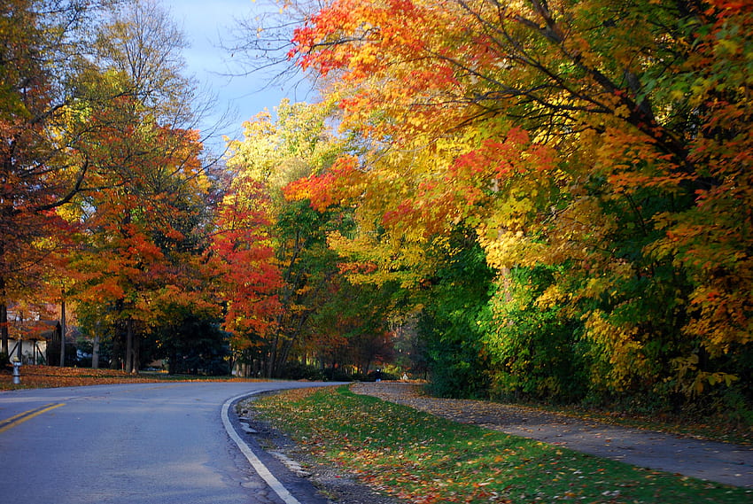 Driving along the Big Creek Rd, colors, beautiful, driving, fall HD ...