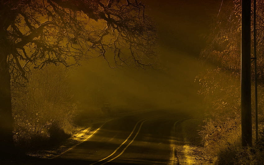 自然, 夜, 道路, マークアップ, 霧 高画質の壁紙