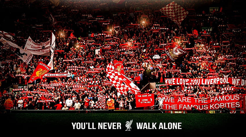 Liverpool Fc, Liverpool Team HD wallpaper