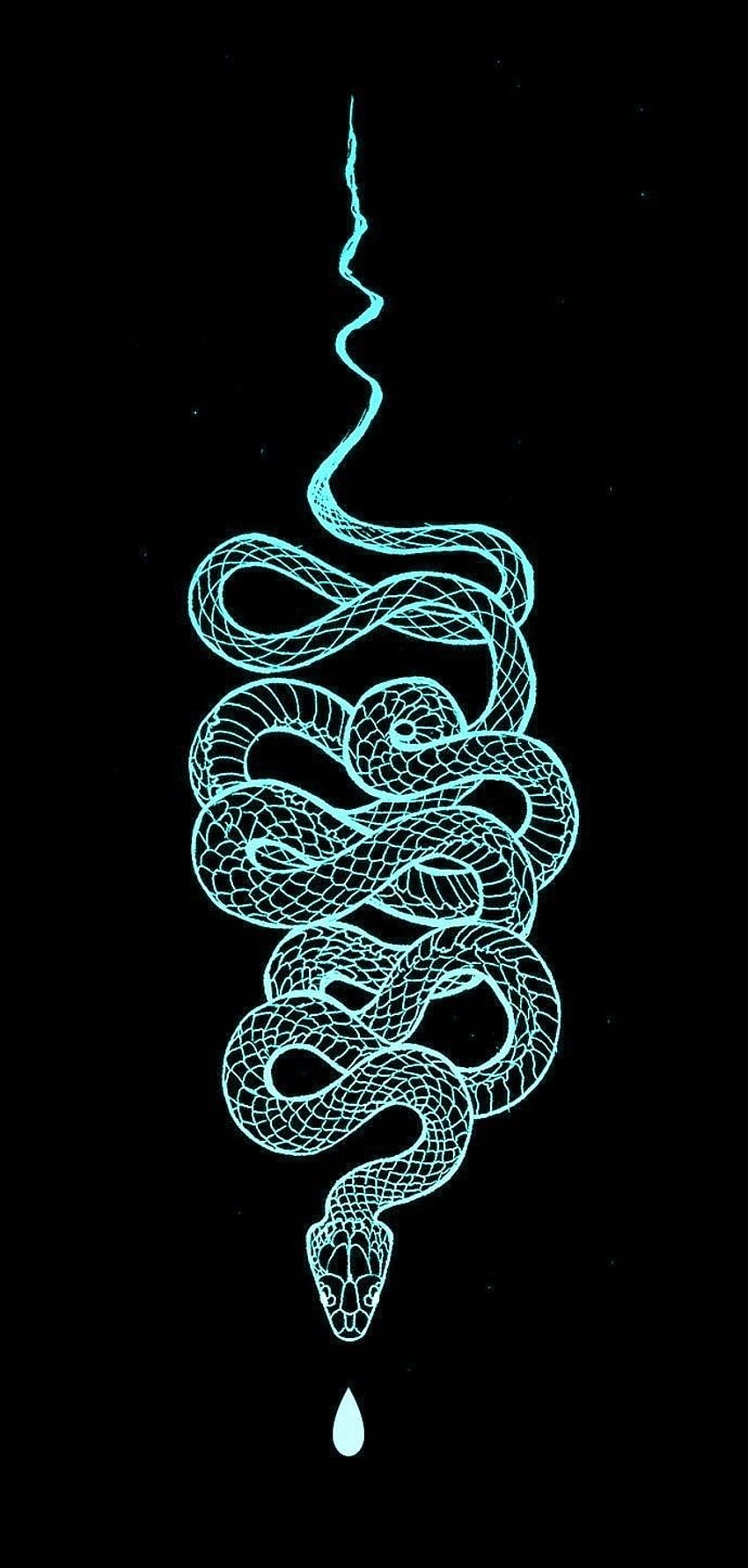 Yami on Ｄｒａｗｓ. Snake , Digital art, Rose Snake HD phone wallpaper