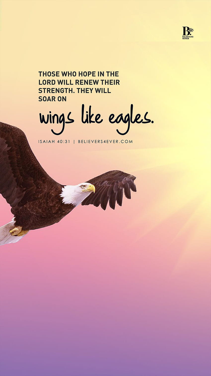 Wings like Eagles, Soar HD phone wallpaper