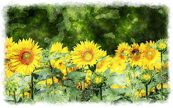 Sunflower art HD wallpapers | Pxfuel