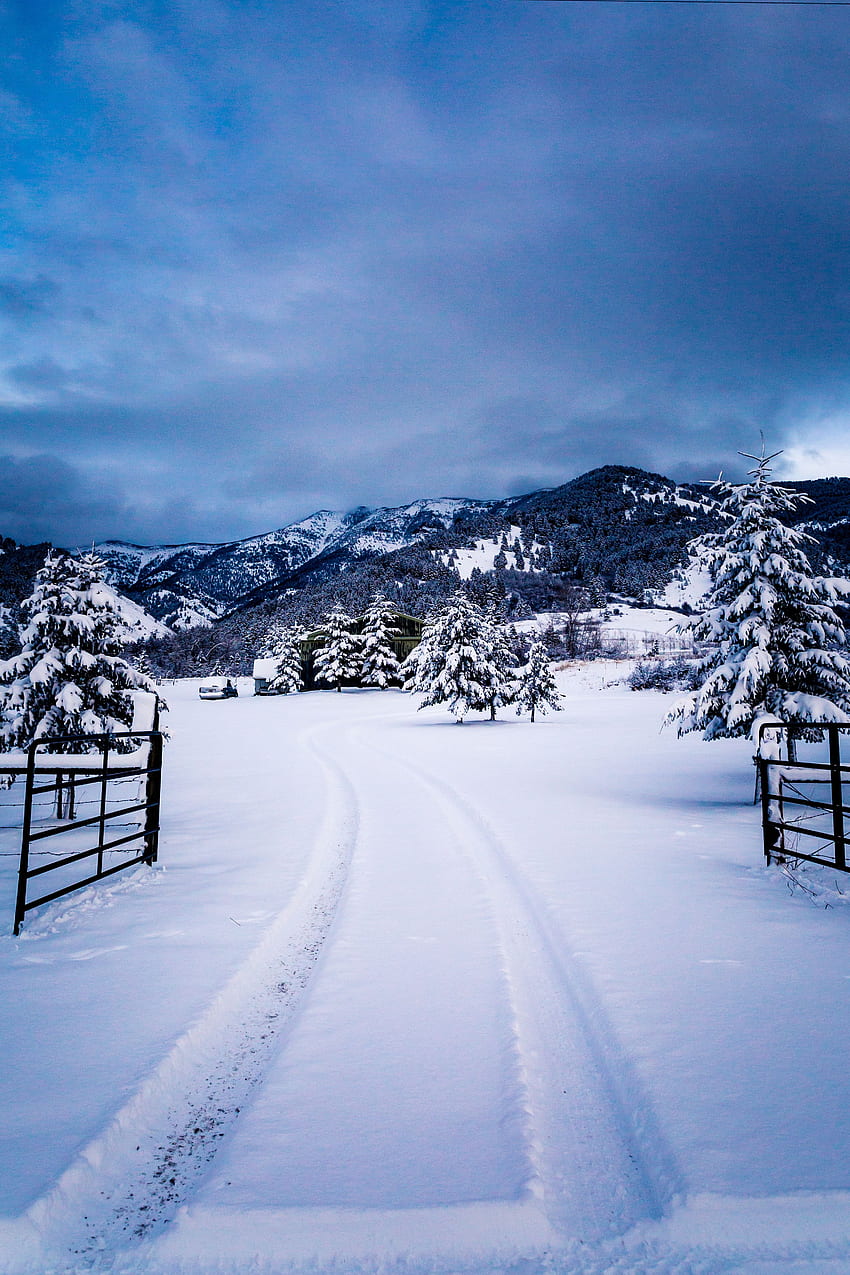 Зима, природа, дървета, планини, сняг HD тапет за телефон