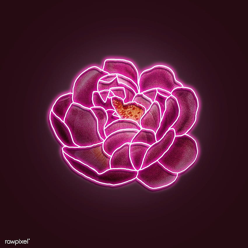 premium illustration of Neon pink rose mockup 2254119. Pink neon , iphone neon, Neon flowers, Cool Neon Rose HD phone wallpaper