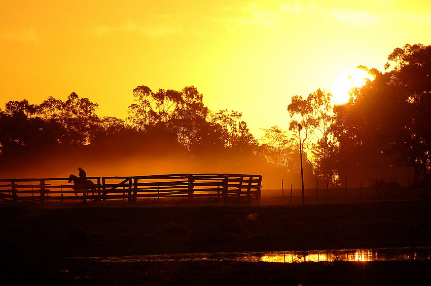 Sonnenuntergang in Brasilien, Pferd, Brasilien, See, Bäume, Natur, Fench, Himmel, Wasser, Sonne, Sonnenuntergang, Orte HD-Hintergrundbild
