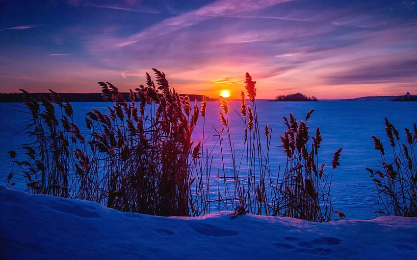 Winter, Nature, Sunset, Grass, Snow HD wallpaper