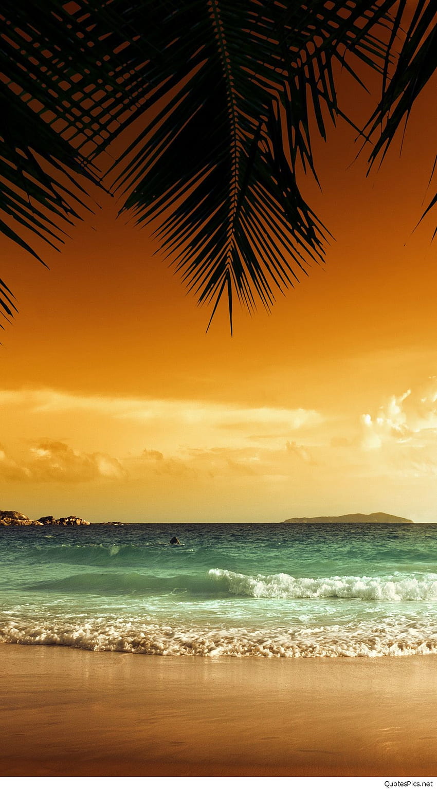 Фон на залез плаж с висока разделителна способност - Novocom.top, Жълто море HD тапет за телефон