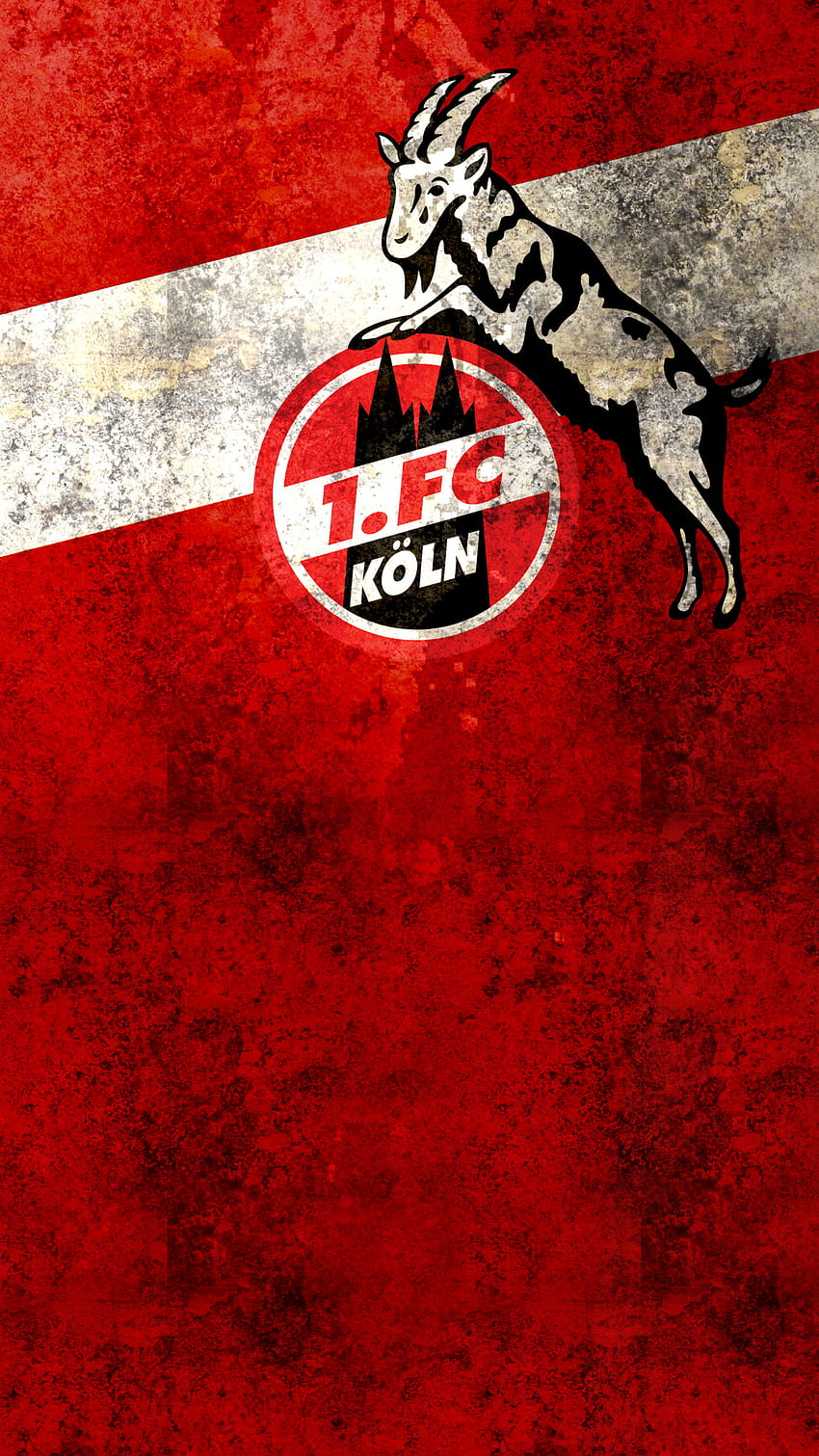 FC Köln Handy - 1 FC Köln Hintergrund -, Köln HD-Handy-Hintergrundbild