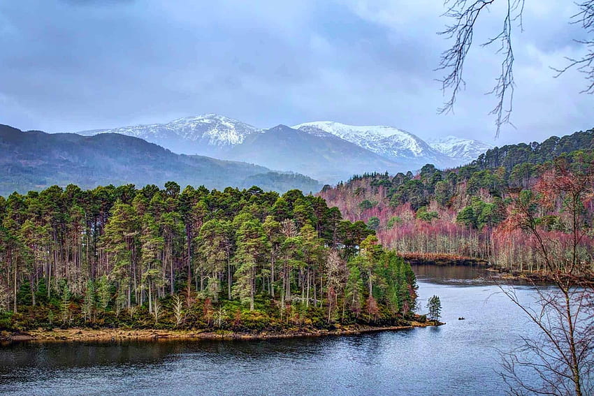 Loch Ness and Glen Affric One Day Tour from Inverness HD wallpaper