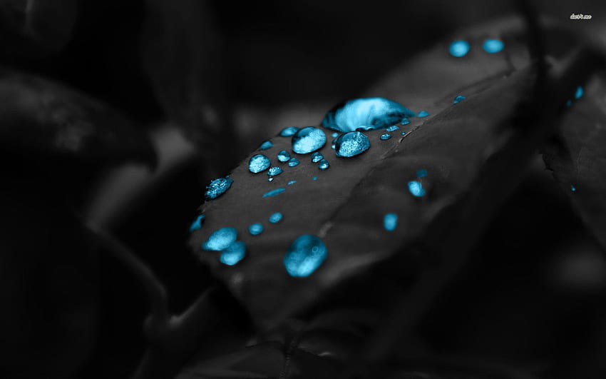 Dark Blue Water Drop On Black Surface - Dark Blue -, Blue Water Drops HD wallpaper