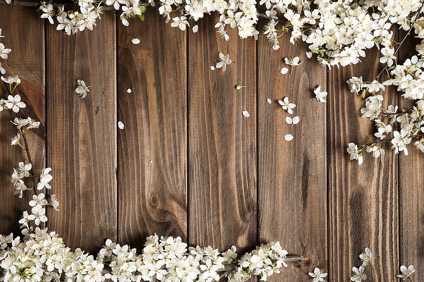Spring, white, brown, wood, flower, texture, blossom HD wallpaper