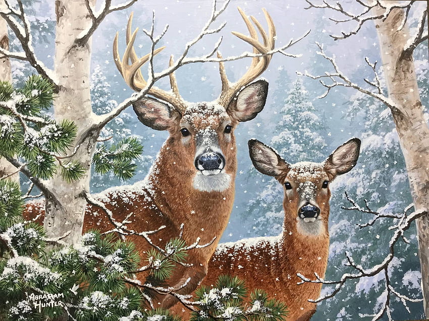 Whitetail Winter, obra de arte, pintura, venado, nieve, árboles, bosque fondo de pantalla