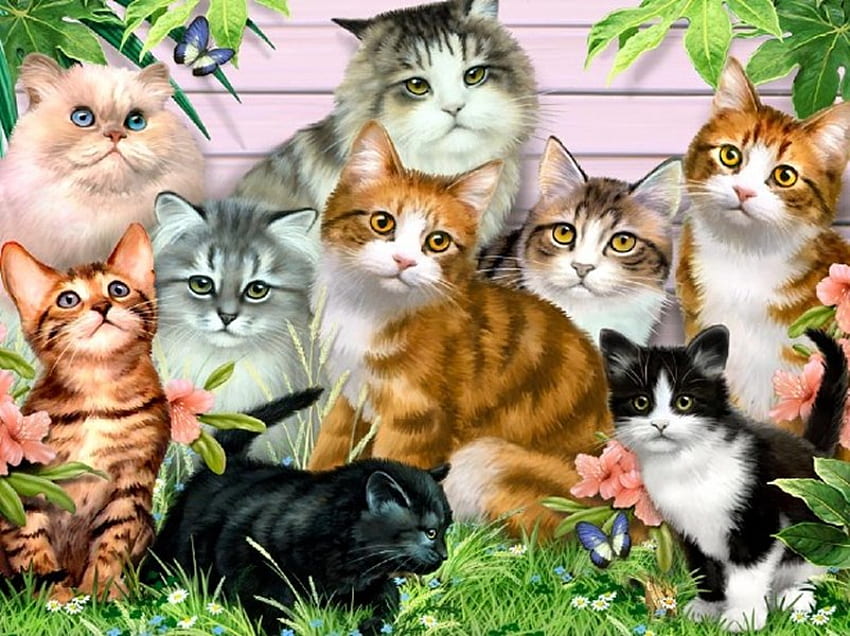 Por Howard Robinson, gatito, howard robinson, gato, flor fondo de pantalla