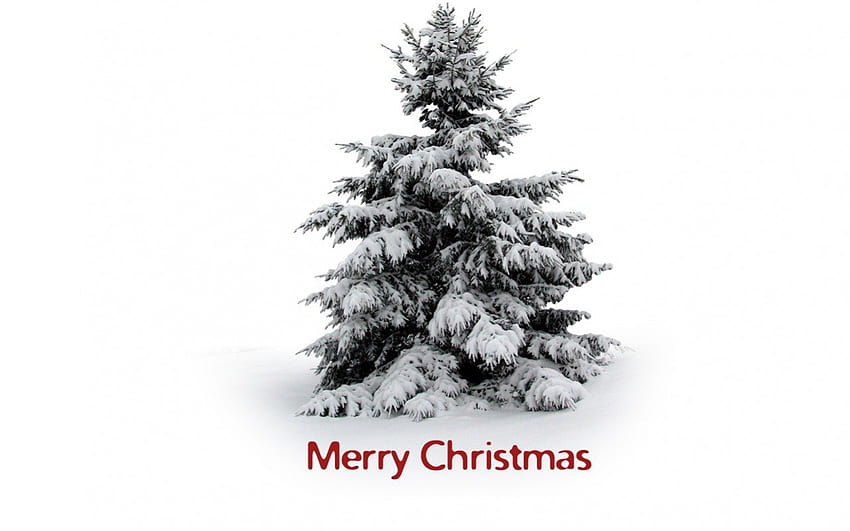 Noël, cloche, décorations de Noël, étoiles, joyeuses fêtes, boule rouge, cloche de Noël, décoration de Noël, Noël magique, arc, boules de noel, joyeux Noël, boule de Noël, ruban, cloches, décoration, cadeaux de Noël, joli, cloches de Noël, boule , charmant, vacances, graphie, réveillon de Noël, ballon d'or, cadeau, beauté, Noël, vacances, nouvel An, d'or, cadeau de Noël, la magie, beau, des balles, bonne année, boules rouges, boîte, Décorations, boules d'or Fond d'écran HD