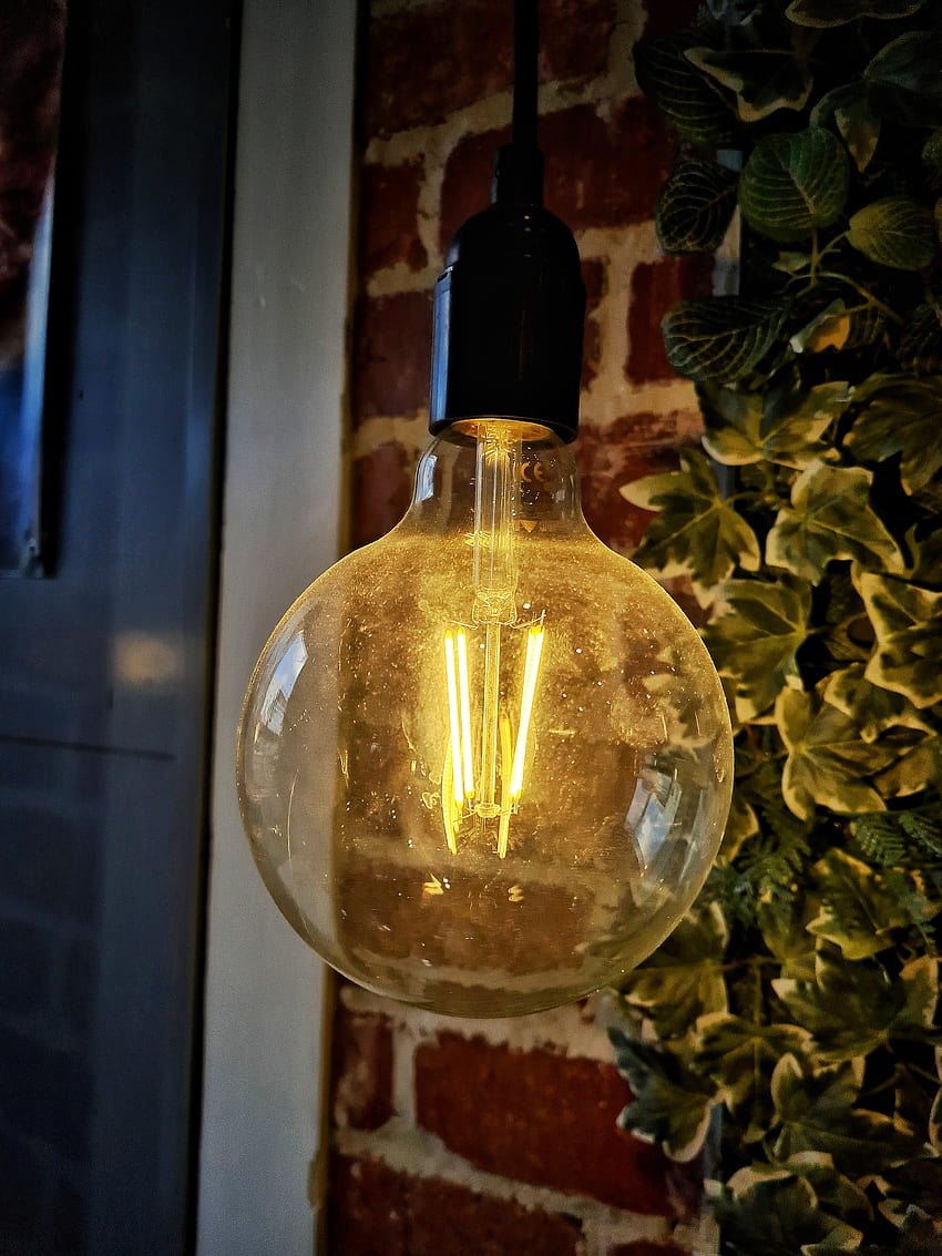 Filament, light, bulb HD phone wallpaper