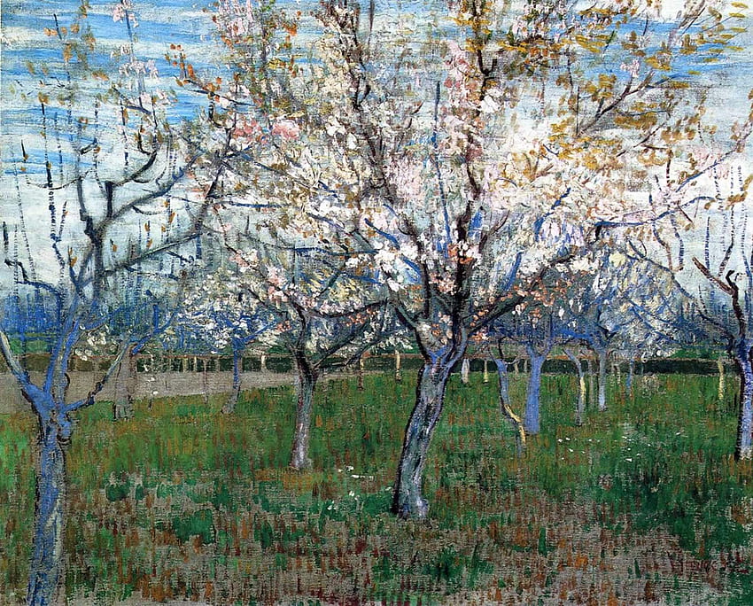 アプリコットの木が咲く果樹園 - ヴィンセント・ヴァン・ゴッホ 高画質の壁紙