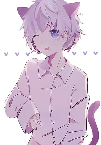Cute anime cat boy HD wallpapers | Pxfuel
