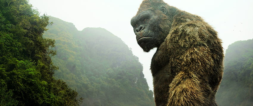 Kong: Kafatası Adası, Neredeyse Her Yeniden Başlatmanın Sefil Bir Şekilde Başarısız Olduğu Yerde Kazandı. KABLOLU, King Kong Kafatası Adası HD duvar kağıdı