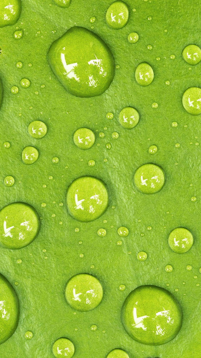 Water Drop Green Macro Pure Ultra Mobile HD phone wallpaper