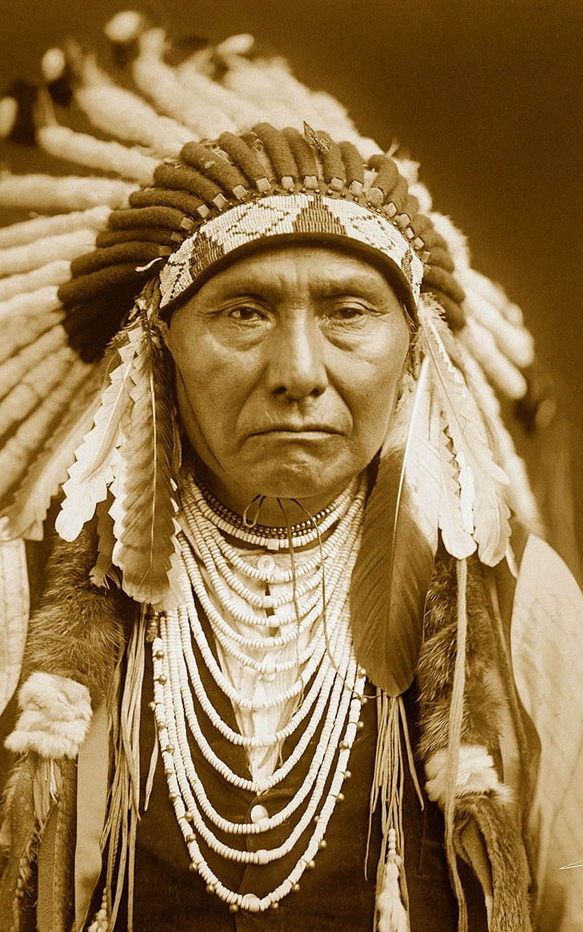 Jefe Nativo Americano Jefe Nativo Americano [] para tu, Móvil y Tablet. Explore los nativos indios Cherokee. indio cherokee, nativo americano fondo de pantalla del teléfono