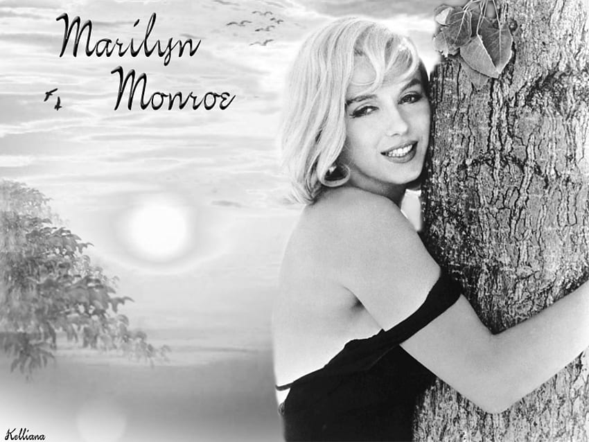 Marilyn Monroe, fifties, 50s, fortys, goddesses of the silver screen, film, 40s, actresses, beauty, black and white, movie, golden era, women, female HD wallpaper