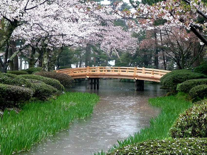 Outros: Jardim Japonês Sakura Cherry Blossom River Japan Bridge Full papel de parede HD