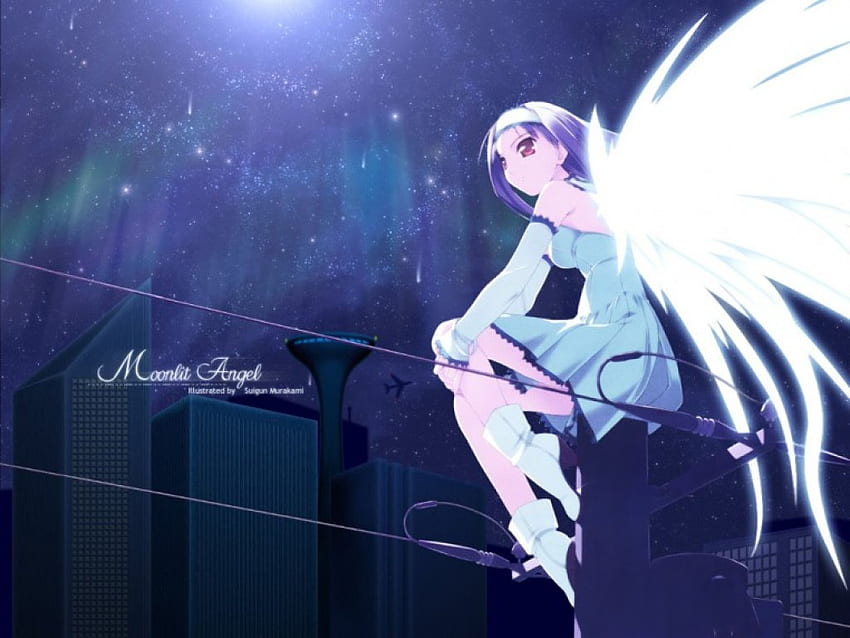 Moonlit Angel, moonlit, nightscape, anime, moon, angel, girl, female HD wallpaper