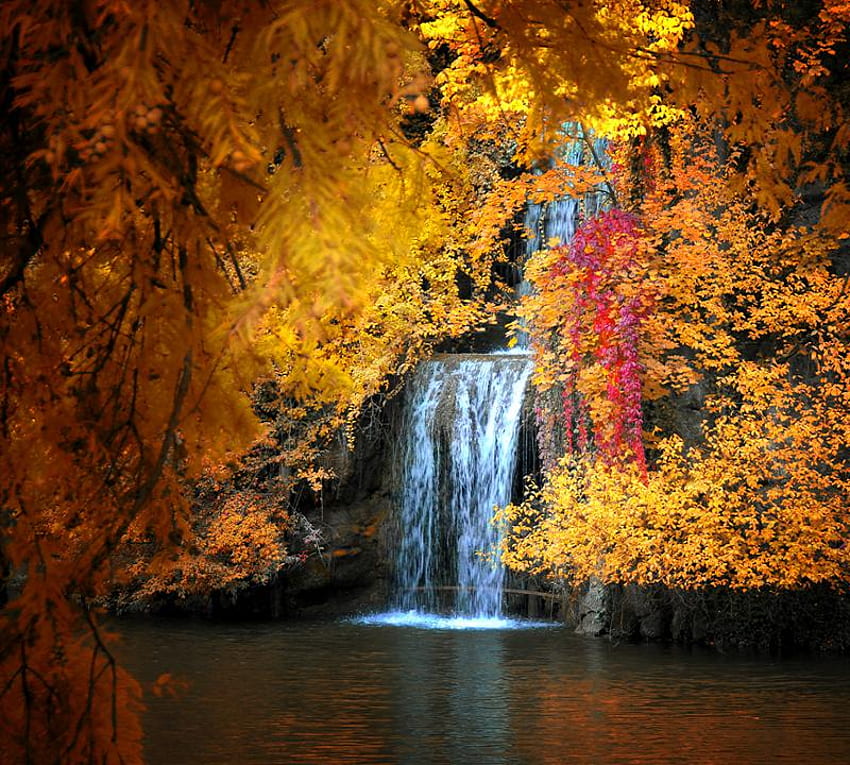 Есенен водопад, червено, дървета, водопад, есен, оранжево, злато, гора, езеро HD тапет