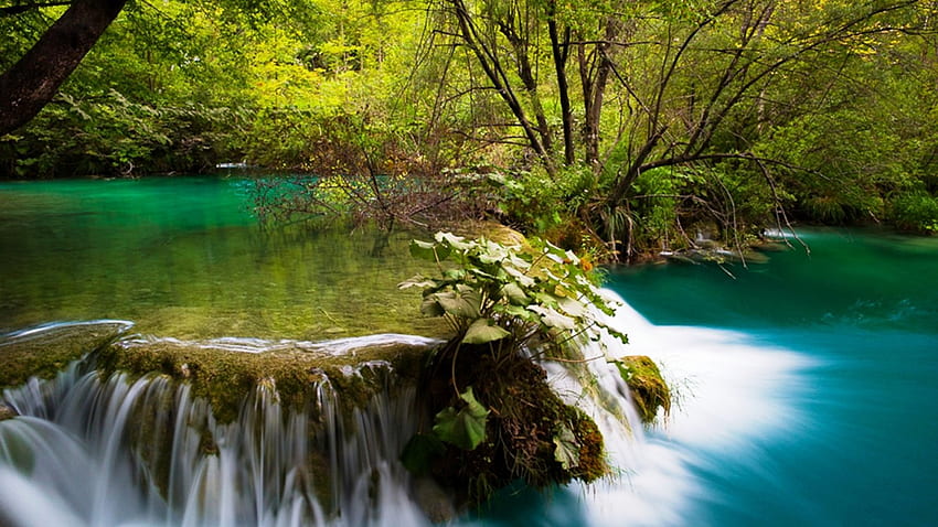 Air Terjun Di Taman, sungai, zamrud, pirus, pohon, air terjun, indah, Kroasia, dedaunan Wallpaper HD