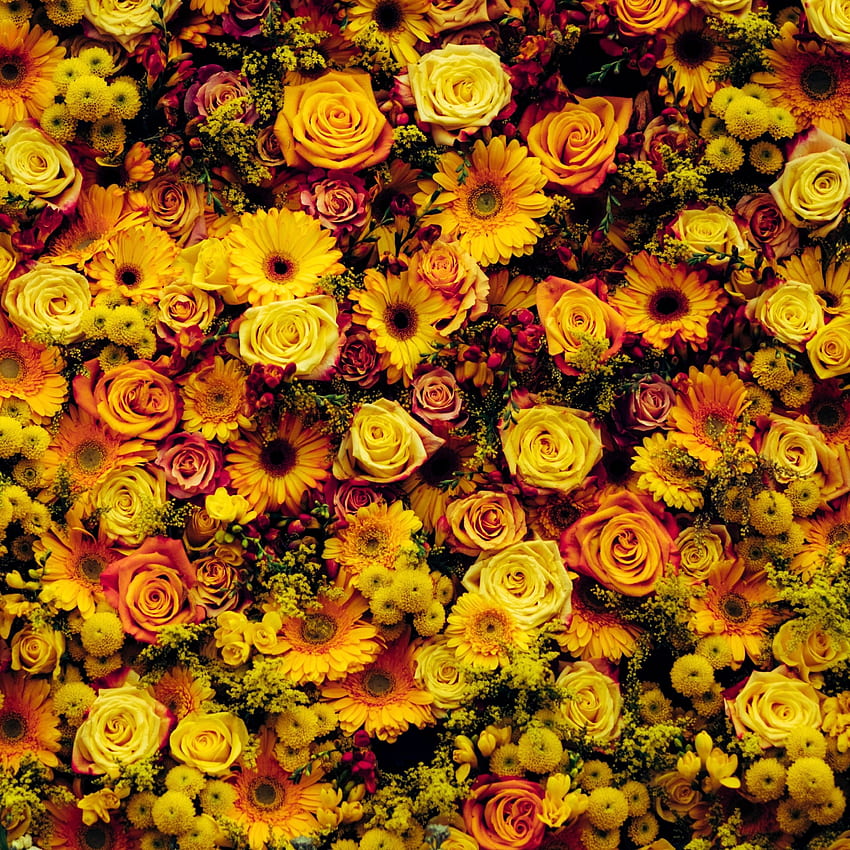 flores, composición, alfombra floral fondo de pantalla del teléfono