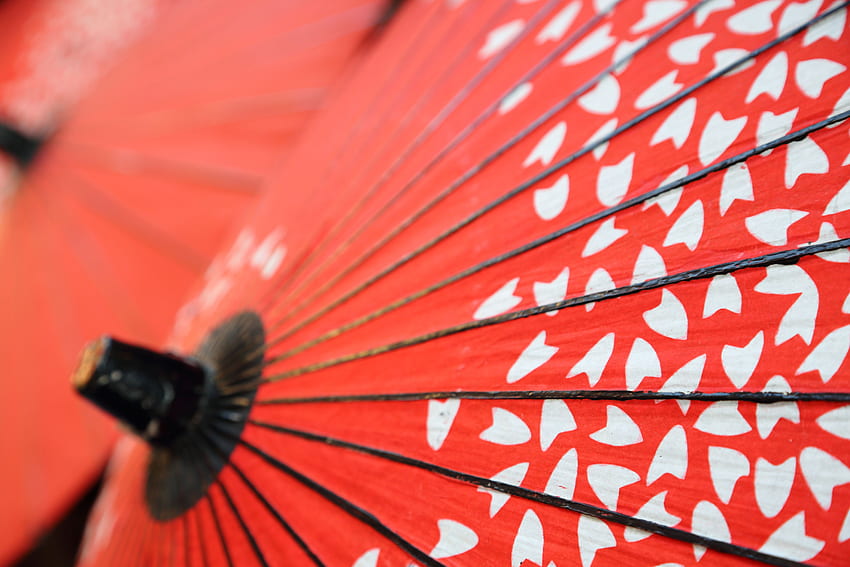 Umbrella Retina Ultra . Background, Japanese Umbrellas HD wallpaper