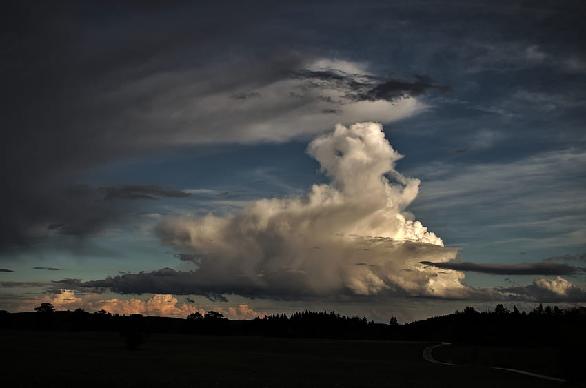 Nature, Sky, Twilight, Clouds, Forest, Dusk HD wallpaper